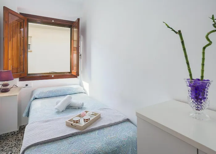 Lluria 51 アパート